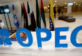 OPEC members fail to agree on production freeze